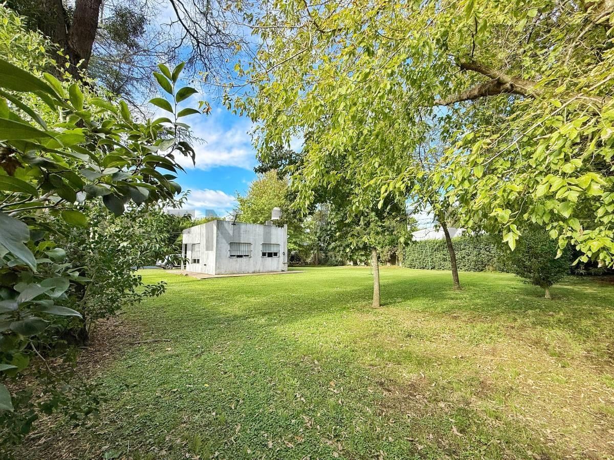 Foto de Venta de Casa ( casa quinta) en Arturo Segui, imagen 4