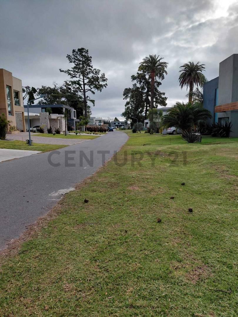 Foto de Lote en venta en Greenville, imagen 2