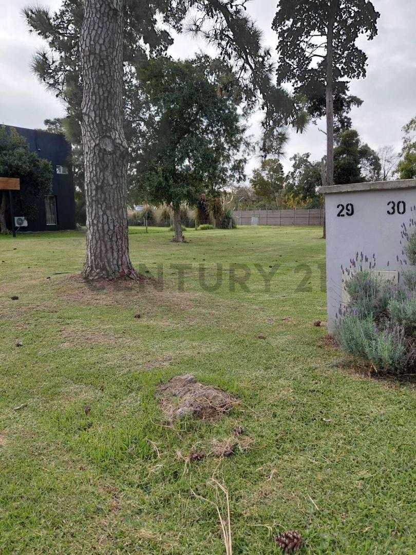 Foto de Lote en venta en Greenville, imagen 4