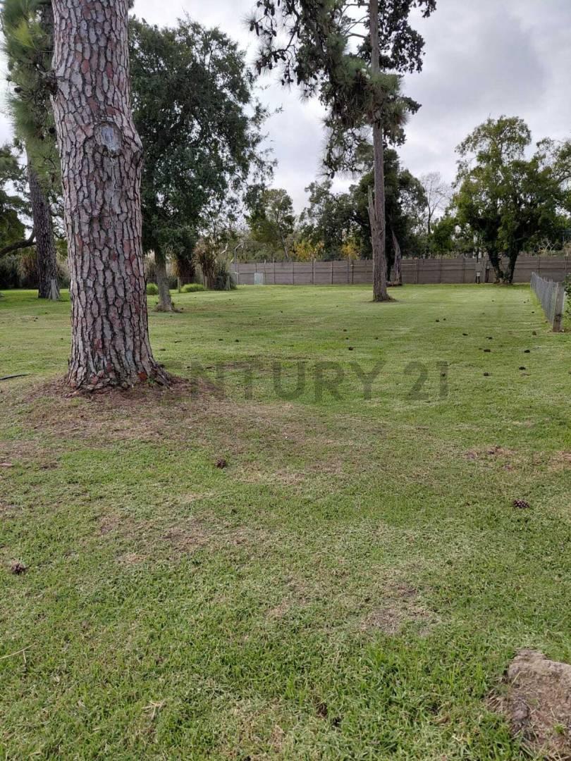 Foto de Lote en venta en Greenville, imagen 3