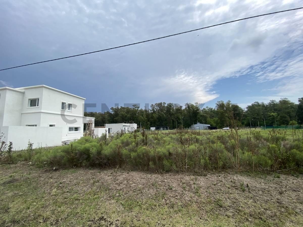 Foto de Lote en City Bell, en barrio semi cerrado La Serena, imagen 1