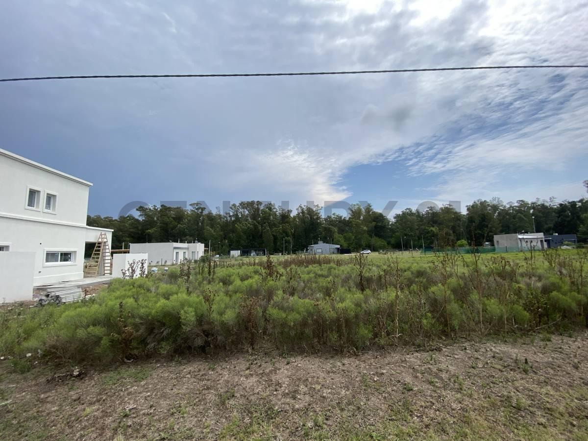Foto de Lote en City Bell, en barrio semi cerrado La Serena, imagen 5