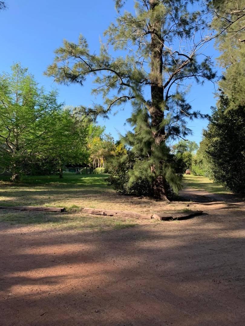 Foto de Terreno en venta en La Lula - Gorina, imagen 5