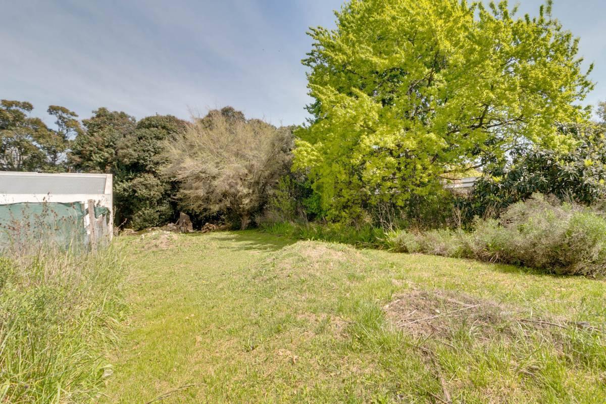 Foto de Lote en venta Villa Elisa, imagen 1
