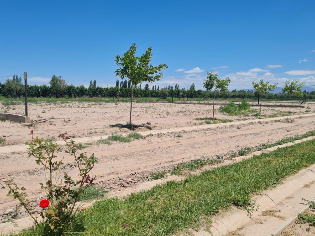 Lotes en Venta 5