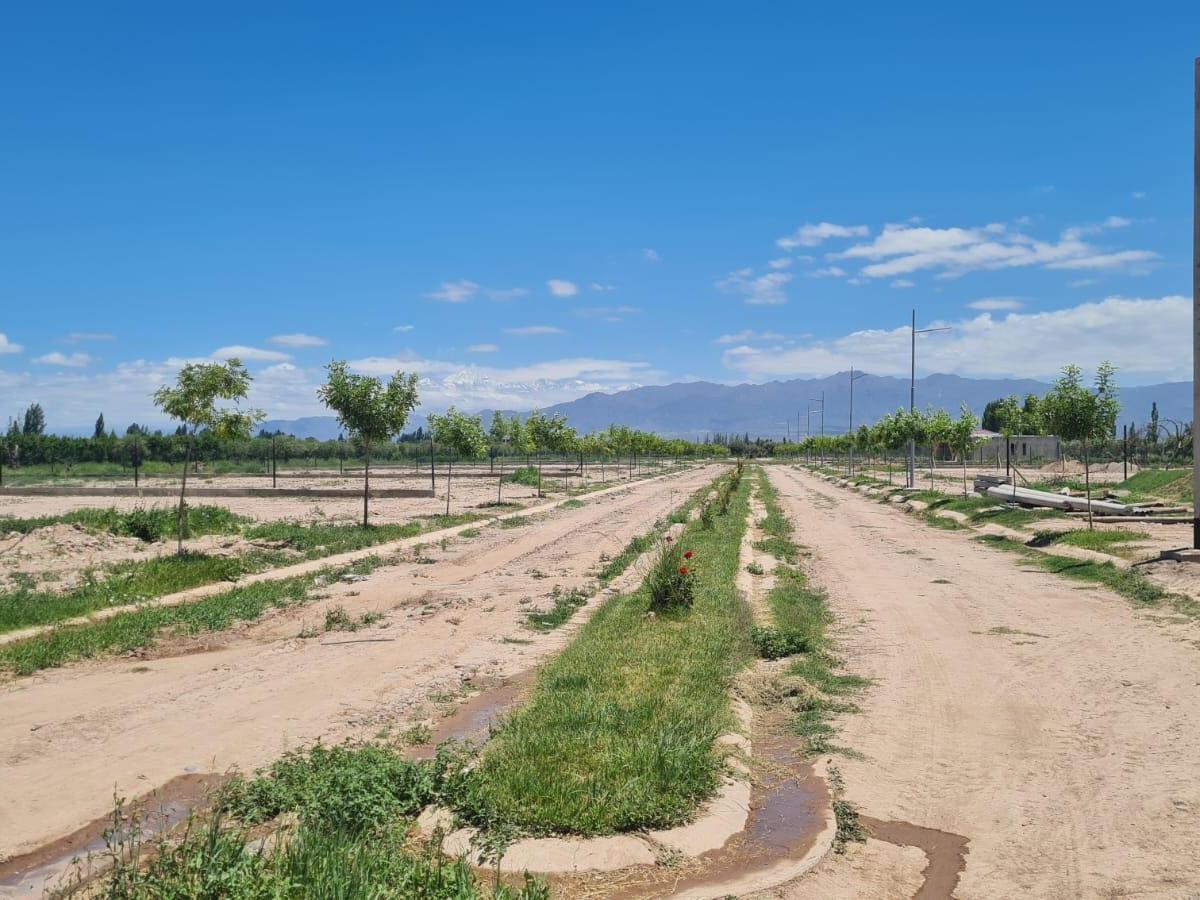 Lotes en Venta 1