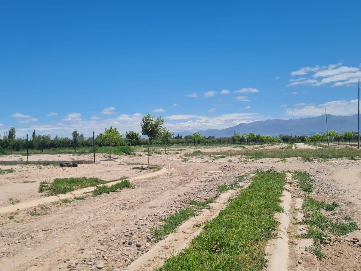 Lotes en Venta 4