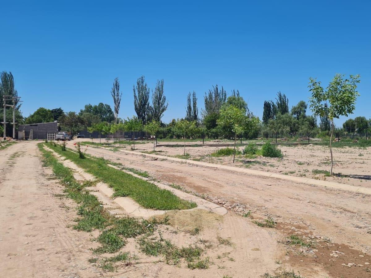 Lotes en Venta 2