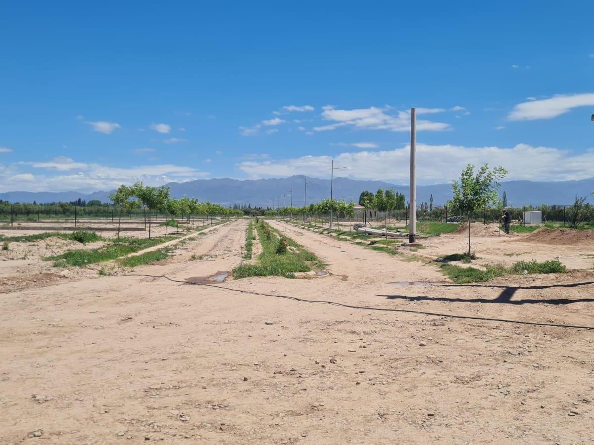 Lotes en Venta 3