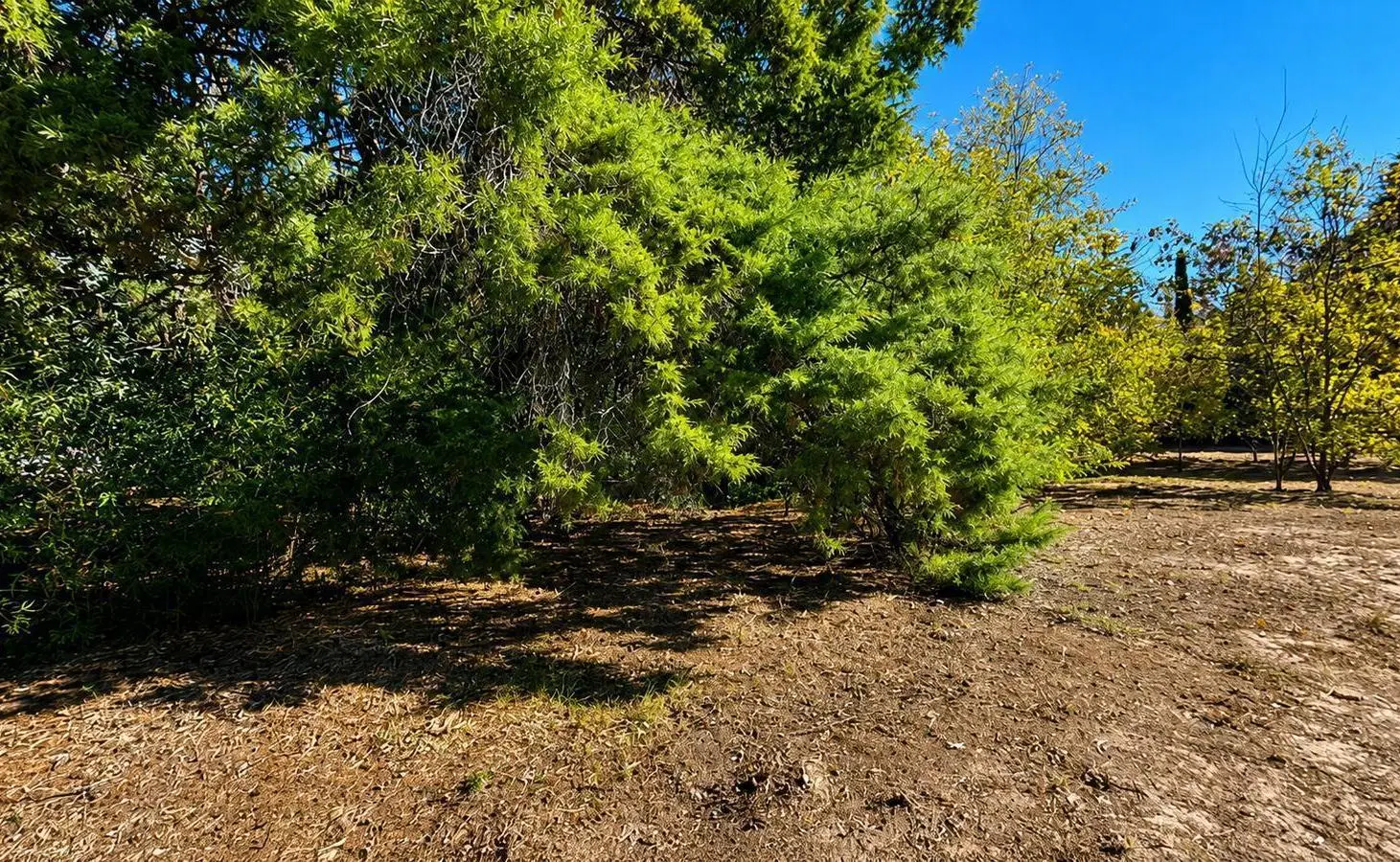Terreno en venta en el barrio La capilla, Vistalba, Lujan de Cuyo 5