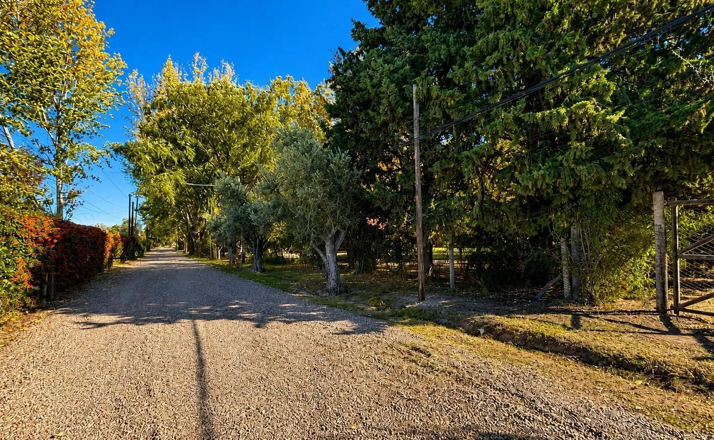 Terreno en venta en el barrio La capilla, Vistalba, Lujan de Cuyo 4