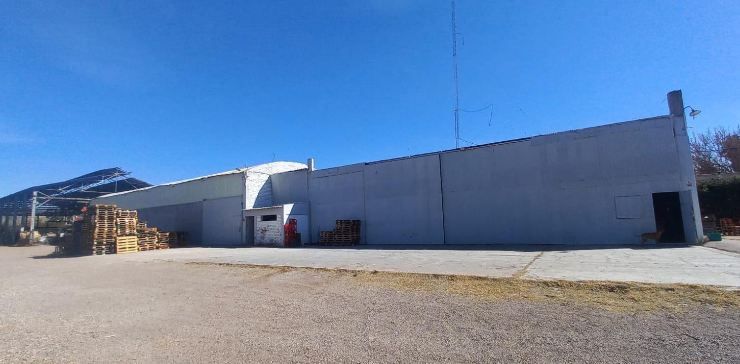 Nave Industrial EN LUJAN DE CUYO