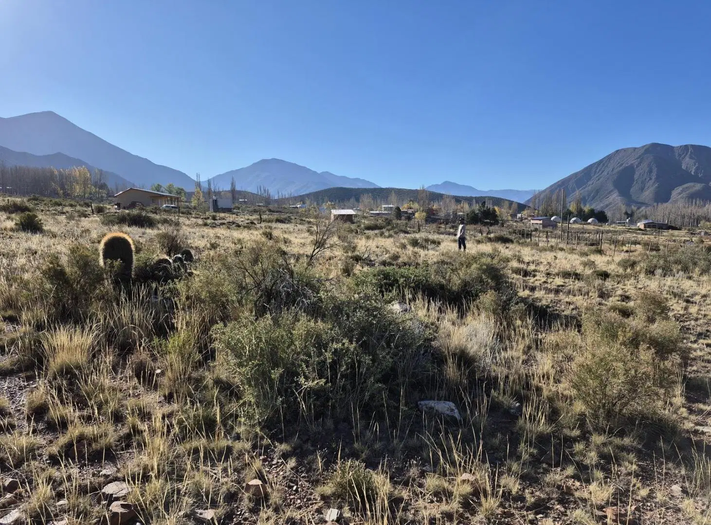 Terreno en El Salto 7