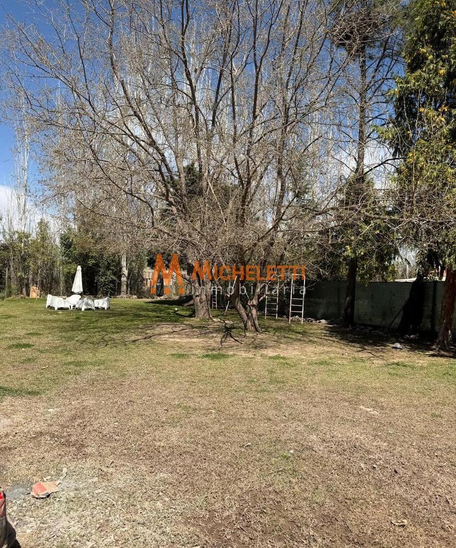 Foto de Terreno en calle Larrea 538, imagen 4