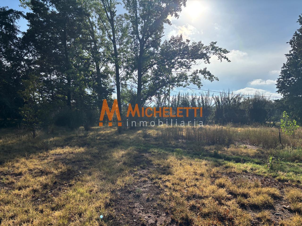 Foto de Terreno en venta Vistalba, Luján de Cuyo, barrio La capilla, Mendoza, imagen 3
