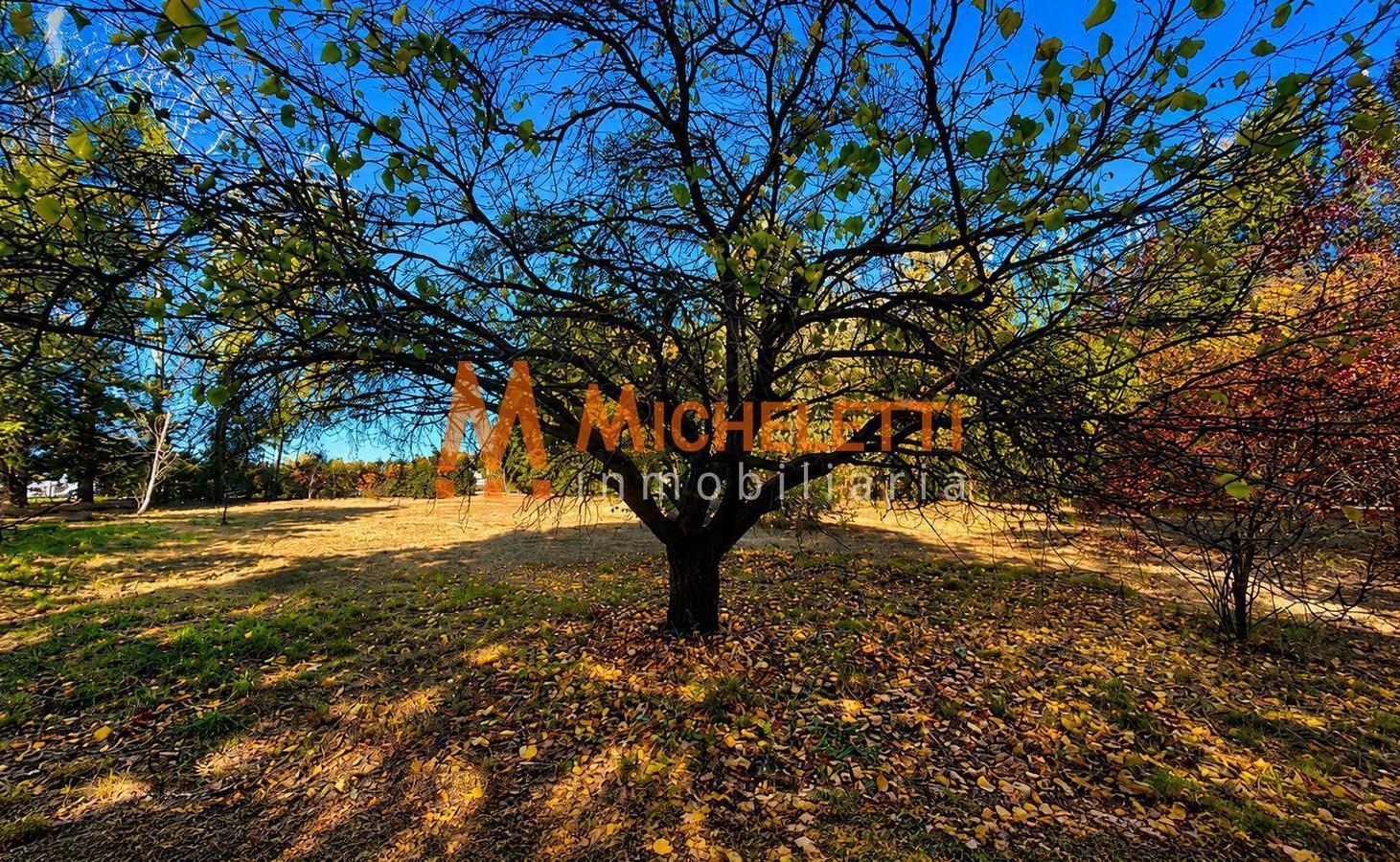 Foto de Terreno en venta en el barrio La capilla, Vistalba, Lujan de Cuyo, imagen 3