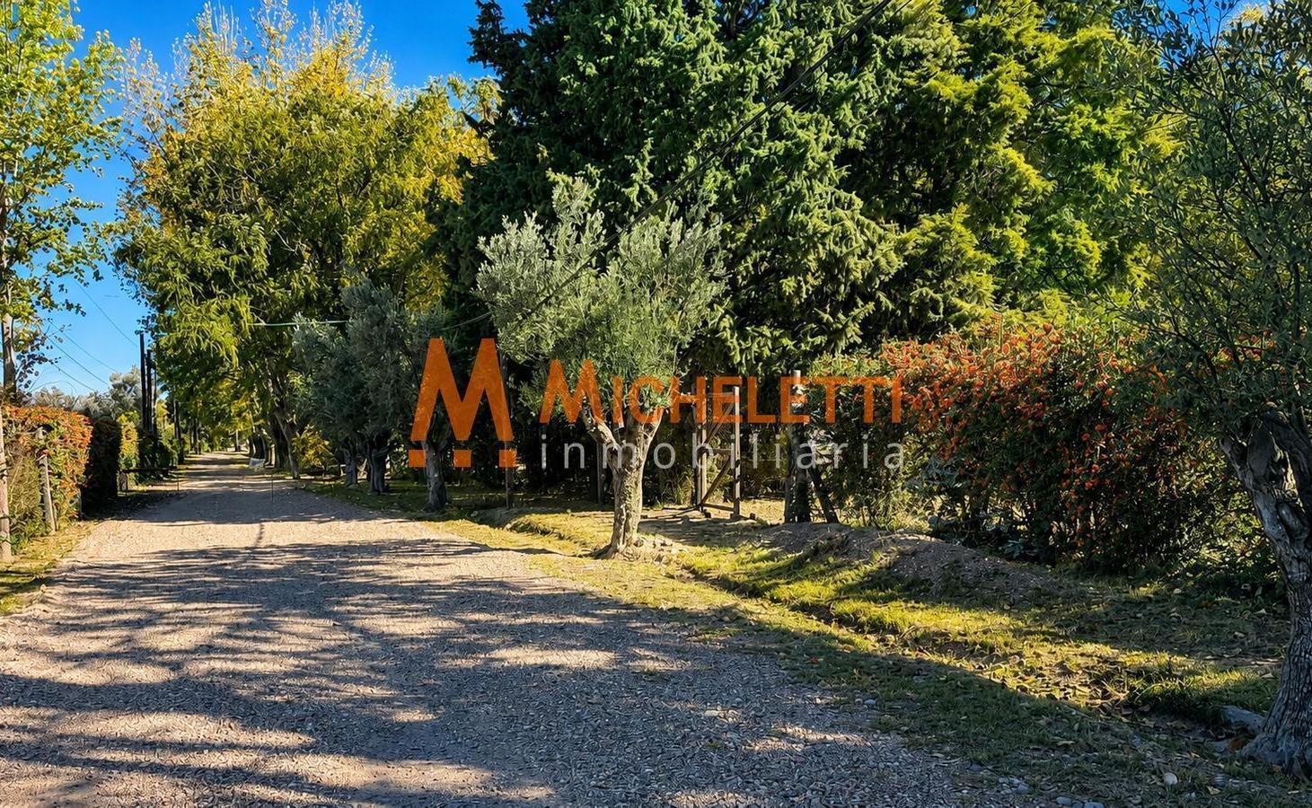 Foto de Terreno en venta en el barrio La capilla, Vistalba, Lujan de Cuyo, imagen 1