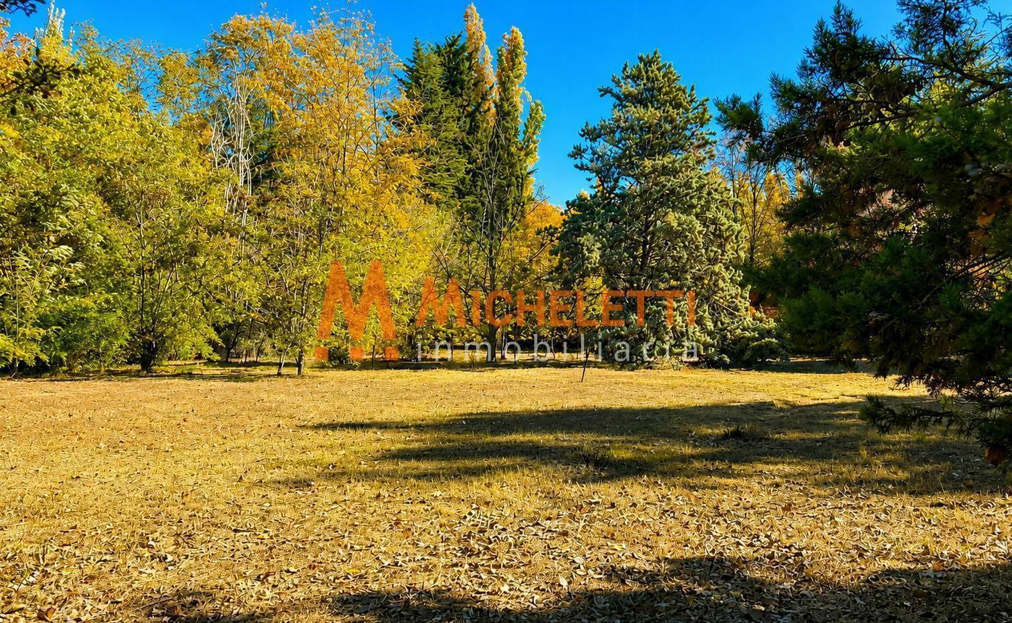 Foto de Terreno en venta en el barrio La capilla, Vistalba, Lujan de Cuyo, imagen 2