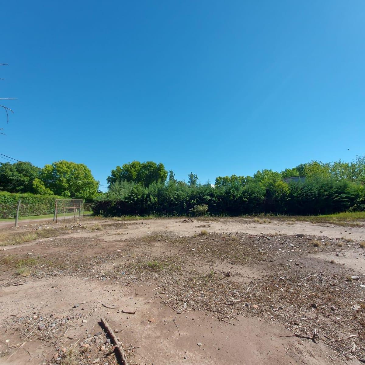 Lote Sobre Calle Pueyrredón - Chacras de Coria 3
