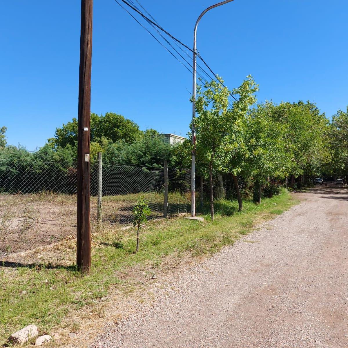 Lote Sobre Calle Pueyrredón - Chacras de Coria 4