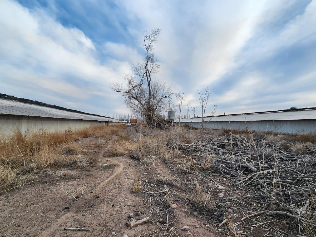 Lote en Zona Industrial de Guaymallen 4