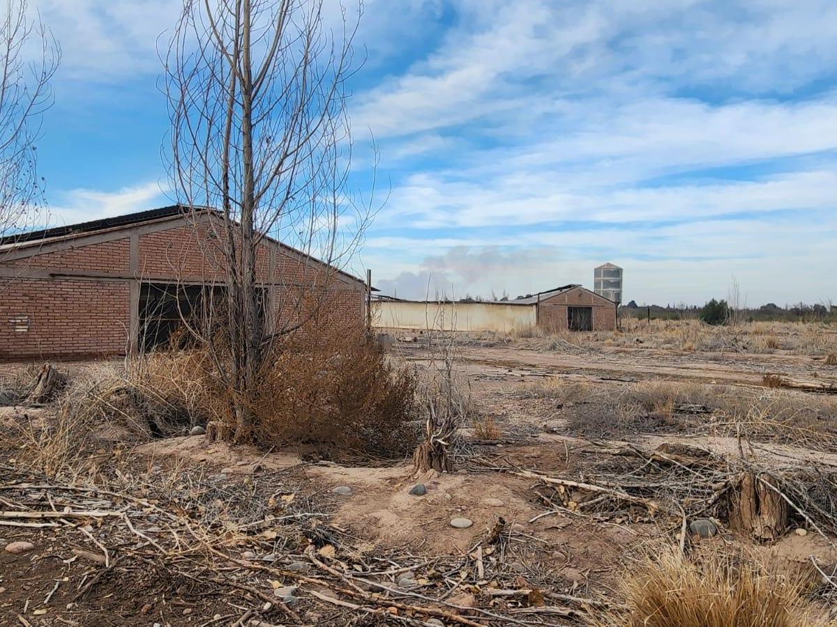 Lote en Zona Industrial de Guaymallen 5