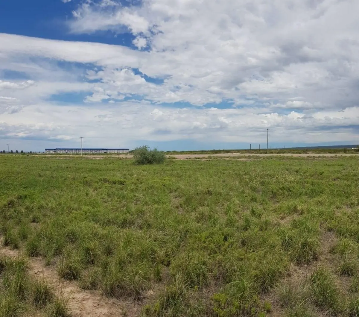 LOTE DE 5.000 M2 SOBRE RUTA 7 - LUJAN DE CUYO 5