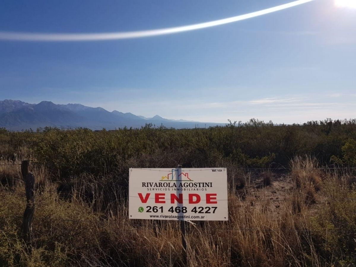 Foto de LOTE FRENTE RUTA 84. PROXIMO POLO LOGISTICO DE LUJAN DE CUYO, imagen 5