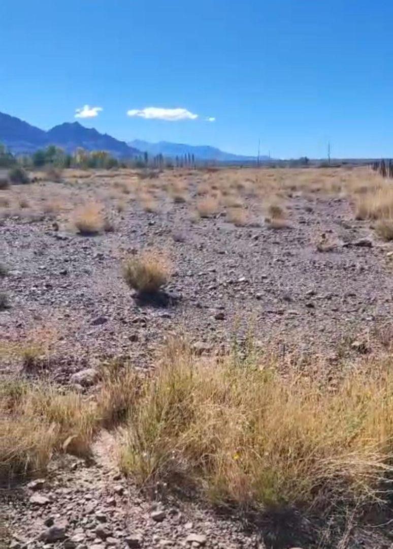 LOTES EN VALLE SAN ALBERTO - USPALLATA