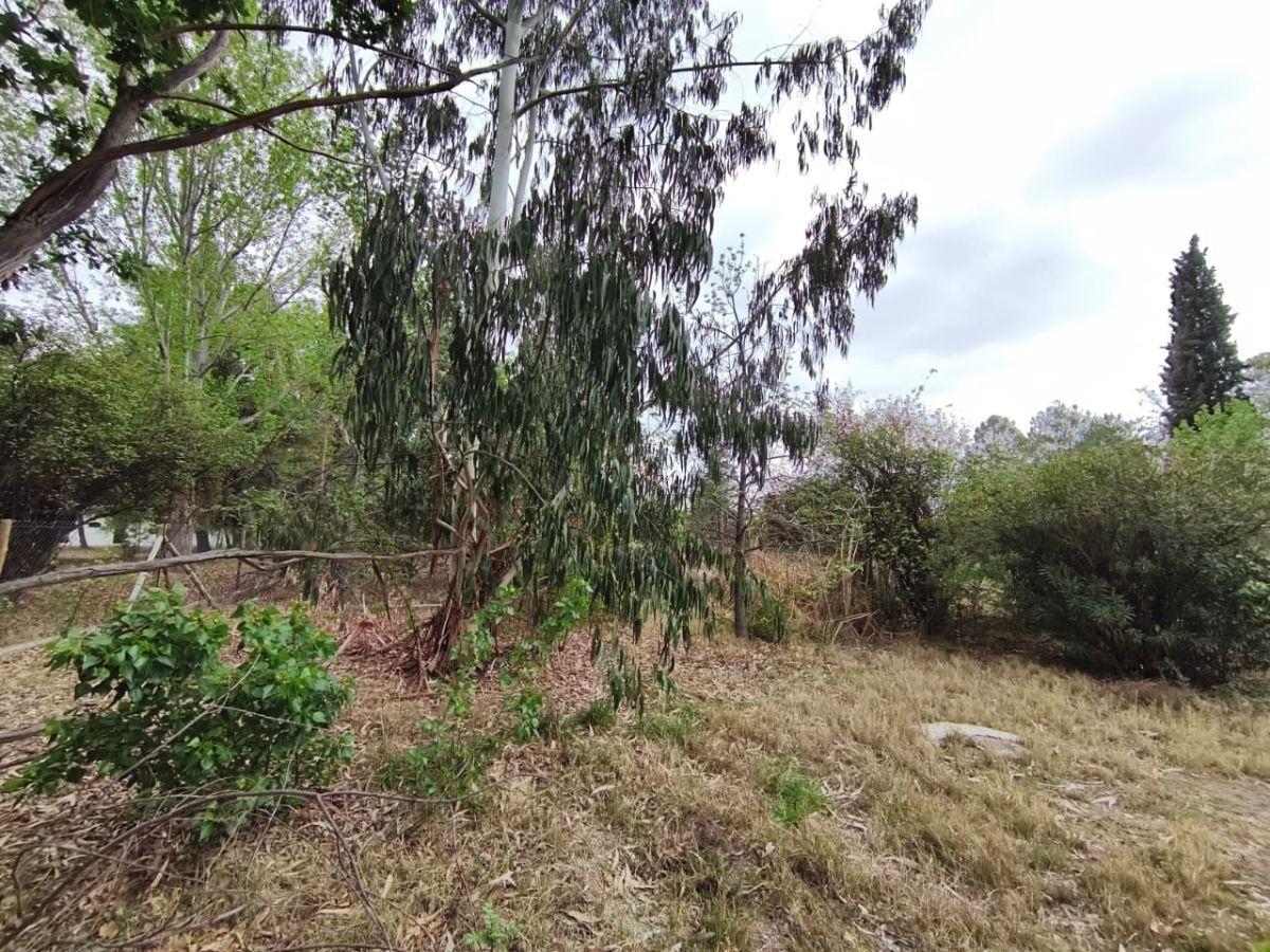 Foto de LOTE EN CALLE GUTIERREZ - VILLA NUEVA - GUAYMALLEN, imagen 5