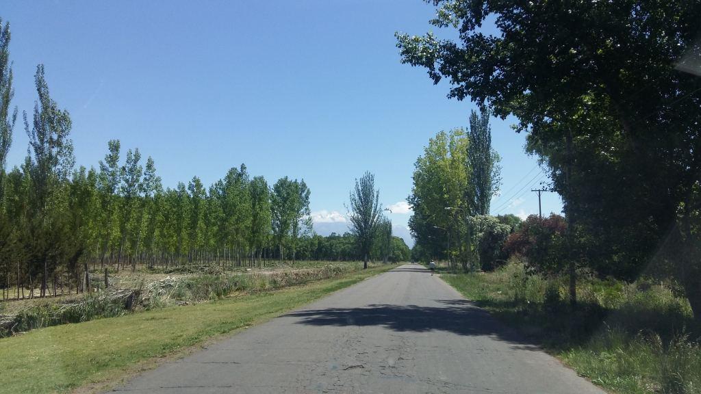 Campo en La Primavera - Tunuyán 4