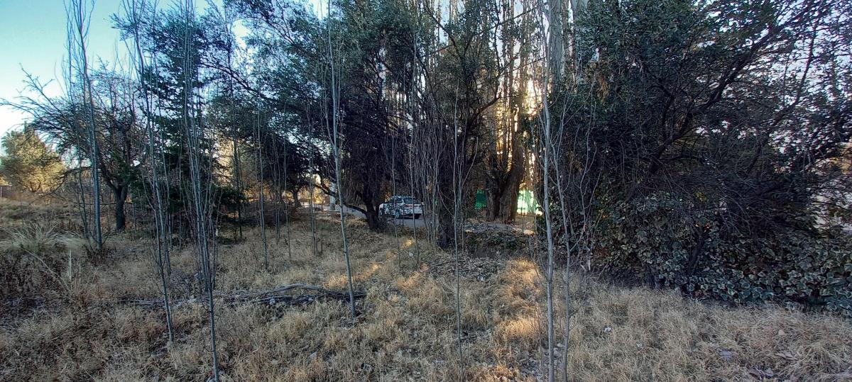 Lote en Chacras de Coria Calle Edmundo Correas 2