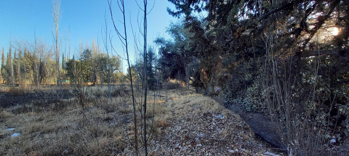 Lote en Chacras de Coria Calle Edmundo Correas 5