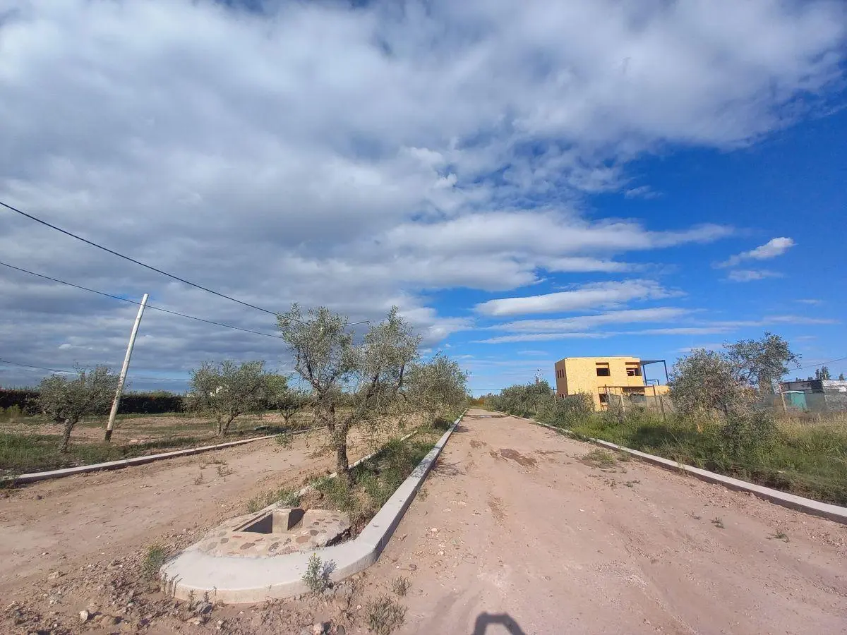 Lotes en Venta en Monteolivo – Frente al Boulevard | 530 m² | Próximos a Escriturar 2