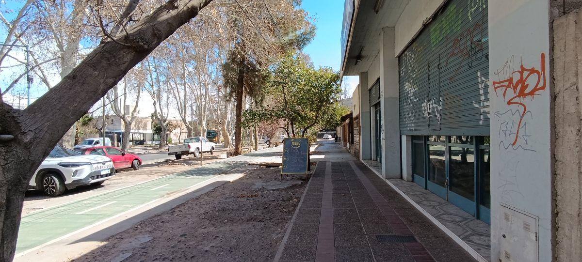Foto de Terreno en Venta en Godoy Cruz – 200 m² sobre Calle Sarmiento, imagen 2