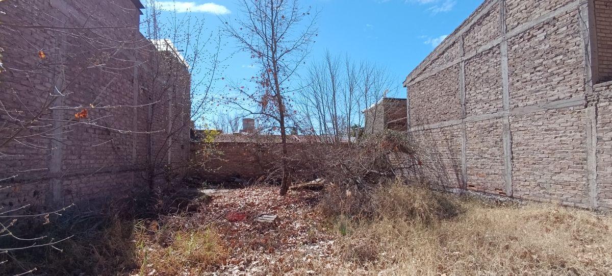 Foto de Terreno en Venta en Godoy Cruz – 200 m² sobre Calle Sarmiento, imagen 3