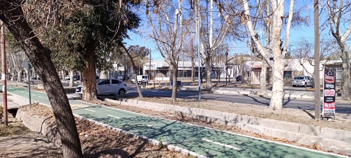 Foto de Terreno en Venta en Godoy Cruz – 200 m² sobre Calle Sarmiento, imagen 5