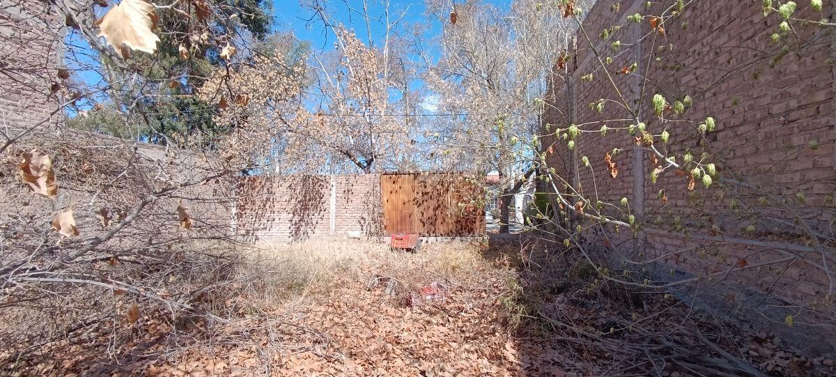 Foto de Terreno en Venta en Godoy Cruz – 200 m² sobre Calle Sarmiento, imagen 4