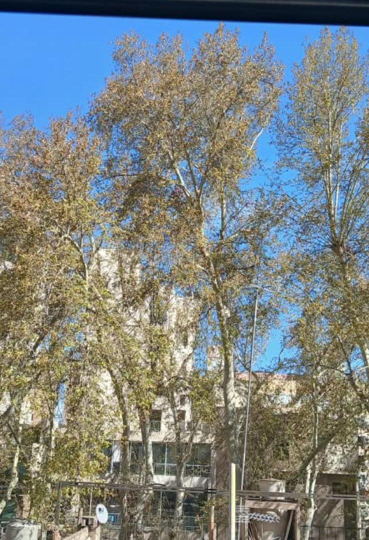 Foto de Vendo Dpto Edificio Kolton Ady. Chile y Montevideo // Mendoza, imagen 4