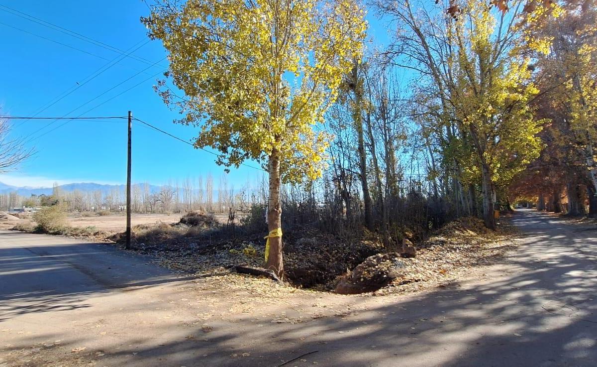 Terreno en Venta de 16.000 m² en Perdriel con Salida a Acceso Sur. Usd 120.000 5