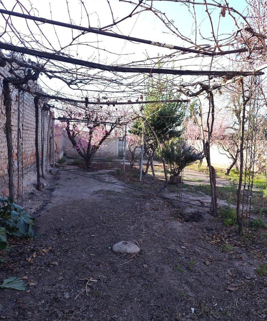 Foto de CASA EN VENTA | UBICACIÓN PRIVILEGIADA | SÁENZ PEÑA, LUJÁN DE CUYO, imagen 5