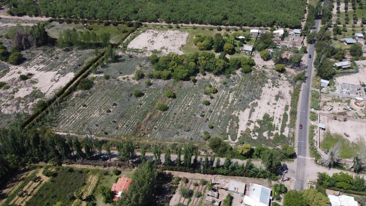 Terreno 19.500 m² con Proyecto Aprobado de Urbanización! 3