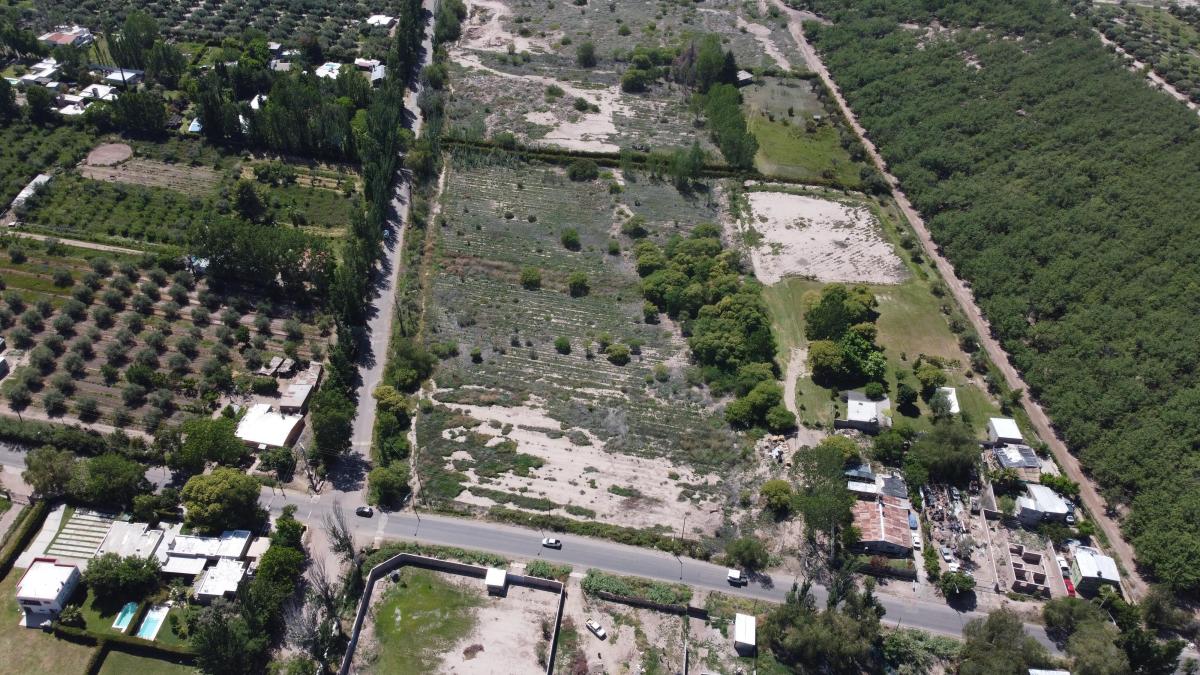 Terreno 19.500 m² con Proyecto Aprobado de Urbanización! 2