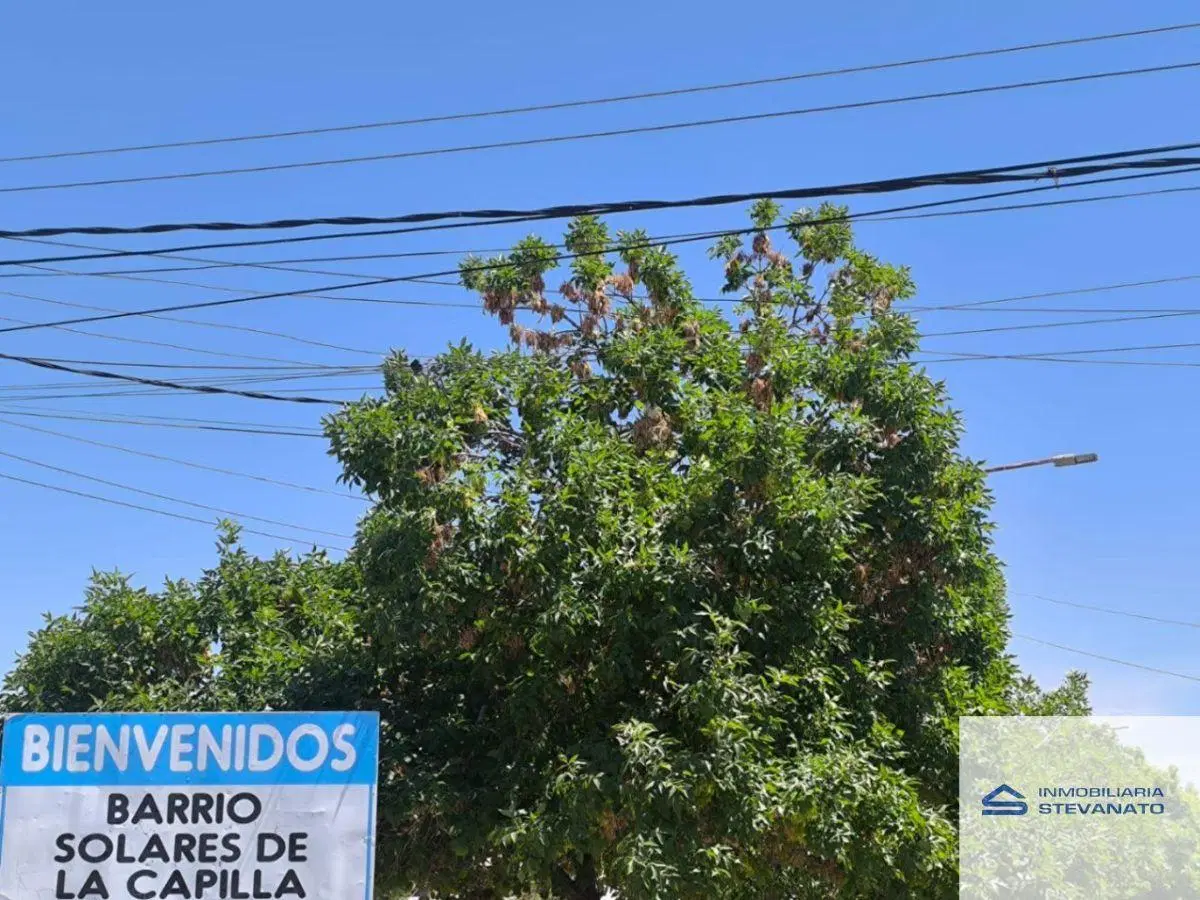 Luzuriaga, Venta de Lote de 200m2 6