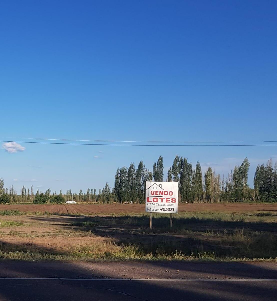 TERRENOS sobre Ruta 40, Pareditas, San Carlos - GRAN OPORTUNIDAD DE INVERSIÓN