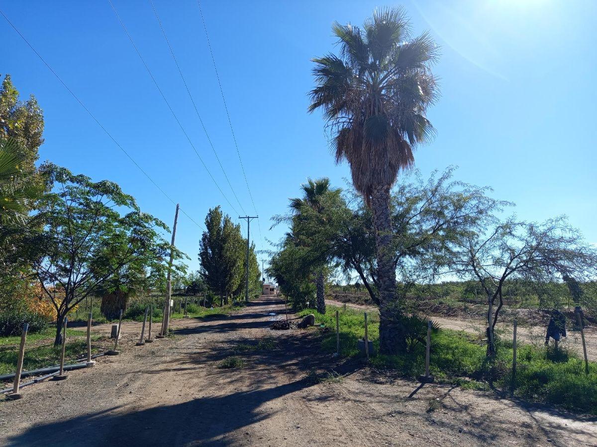 Foto de MENDOZA, ARGENTINA | 583 HECTÁREAS CON INFRAESTRUCTURA HÍDRICA Y, imagen 2