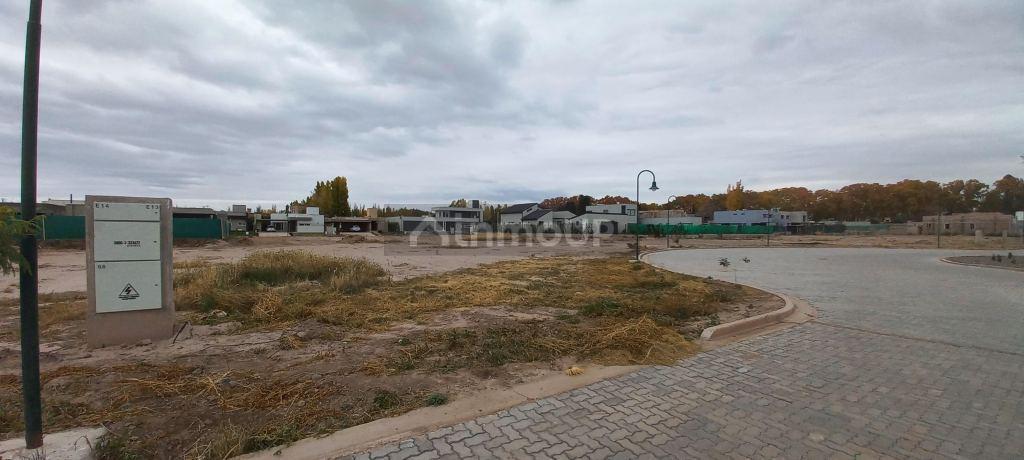 Terreno en Luján de Cuyo, Mayor Drummond, Barrio Pueblo Malbec 5