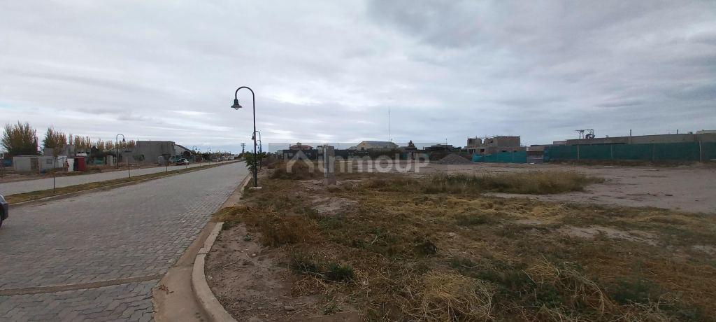 Terreno en Luján de Cuyo, Mayor Drummond, Barrio Pueblo Malbec 3