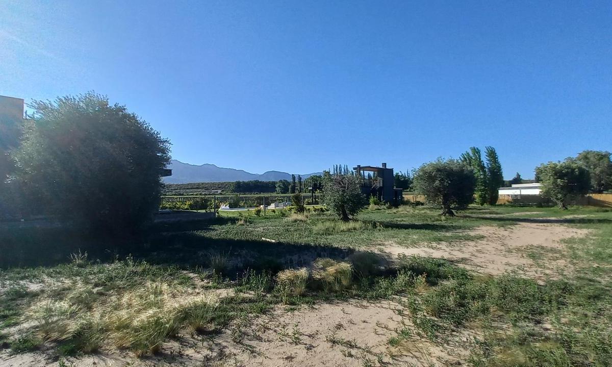 Terreno en Venta Barrio Cerrado Viñas de Ortiz - Vistalba 3