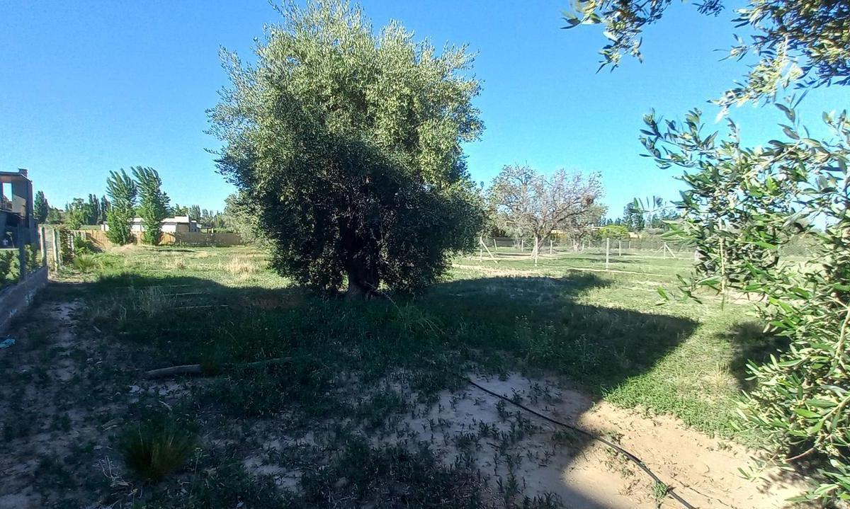 Terreno en Venta Barrio Cerrado Viñas de Ortiz - Vistalba 4